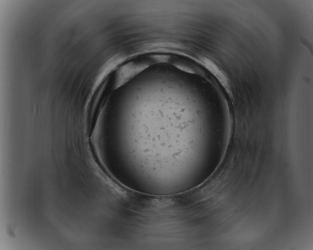 X0000093171384200709261520