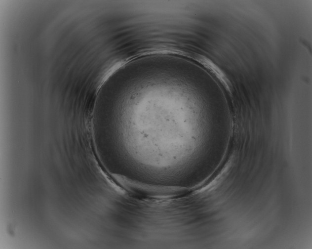 X0000093171385200709261520
