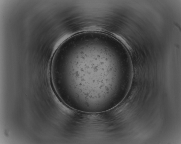 X0000093171387200709261520