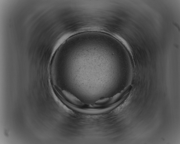 X0000093171389200709261520