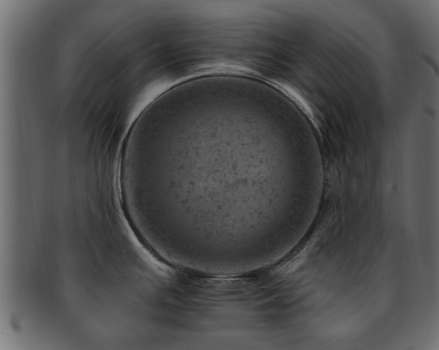 X0000093171391200709261520