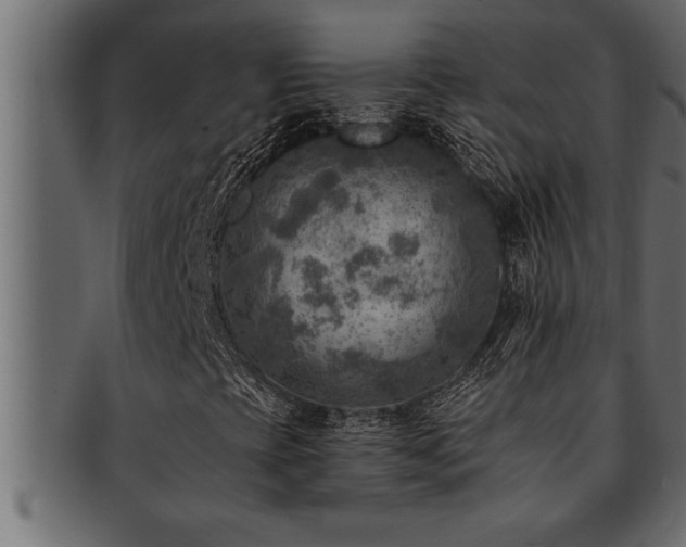 X0000093171393200709261519