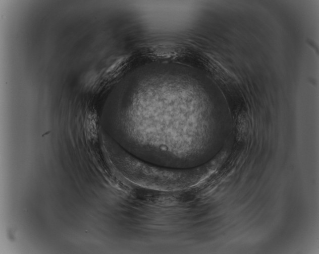 X0000093171394200709261519