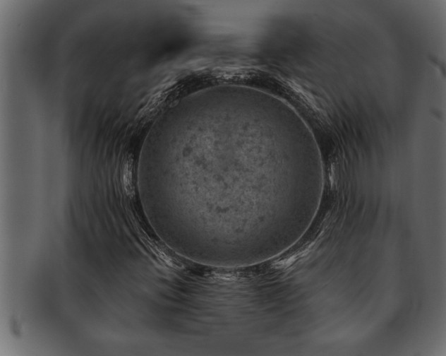 X0000093171396200709261519