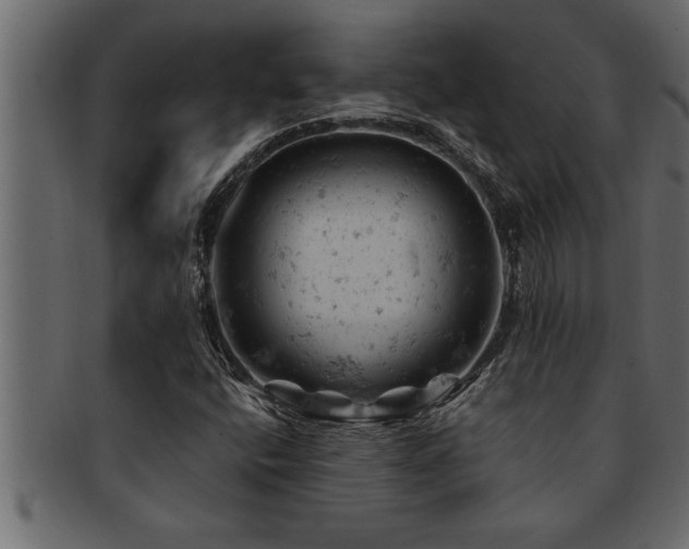 X0000093171400200709261519