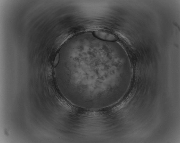 X0000093171401200709261519