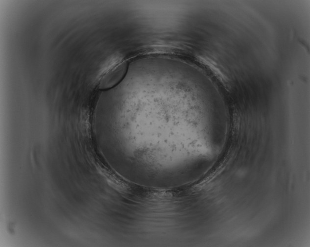 X0000093171403200709261519