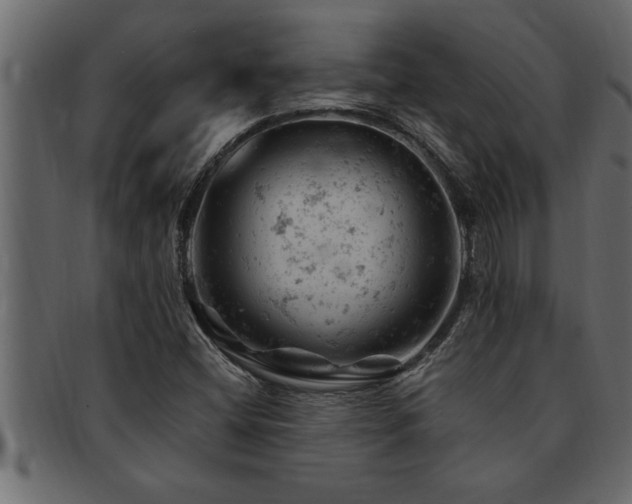 X0000093171404200709261519