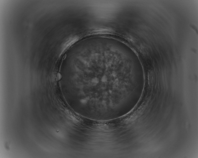 X0000093171405200709261519
