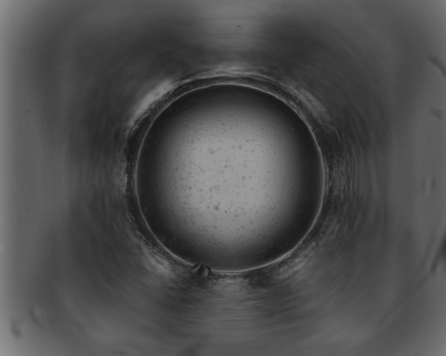 X0000093171406200709261519