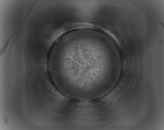 X0000093171407200709261519