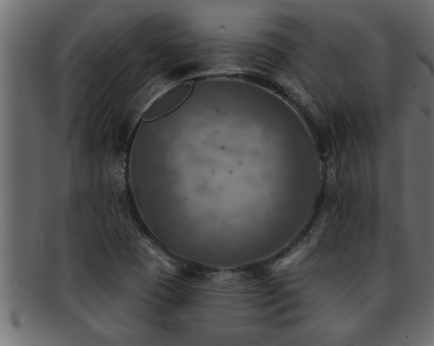 X0000093171409200709261519