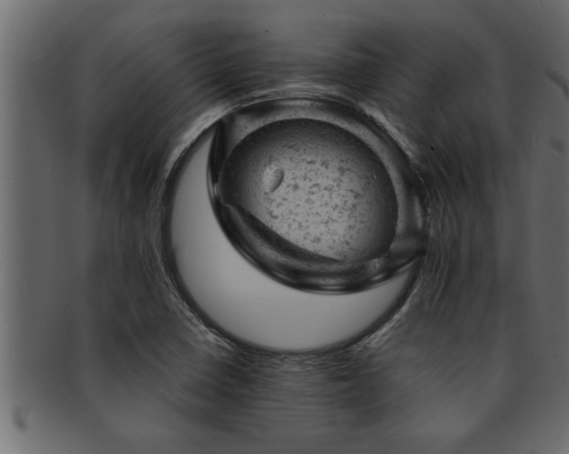 X0000093171410200709261519
