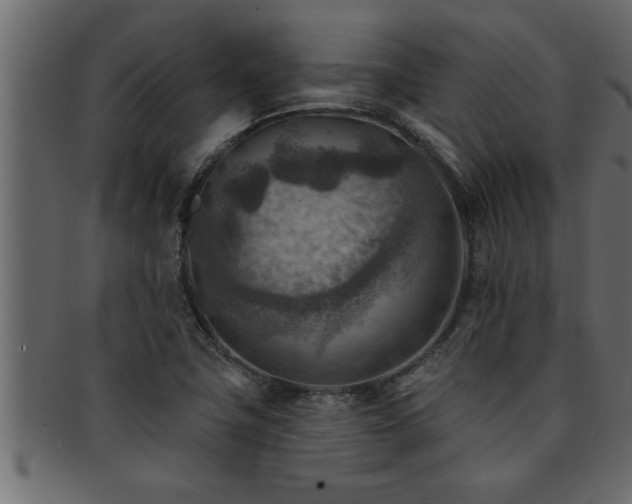 X0000093171411200709261519