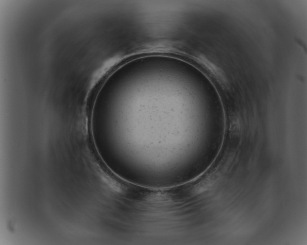 X0000093171414200709261519