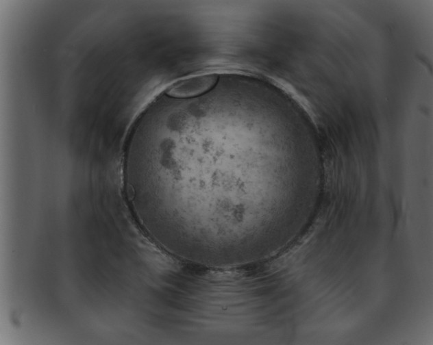 X0000093171415200709261519