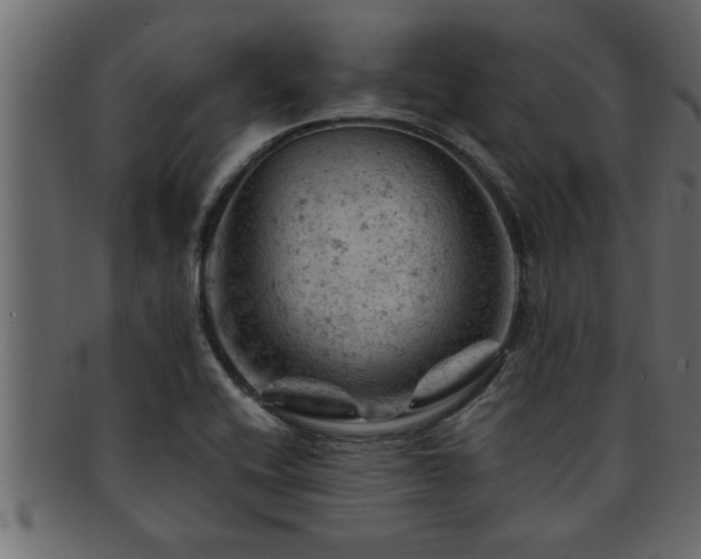 X0000093171416200709261519