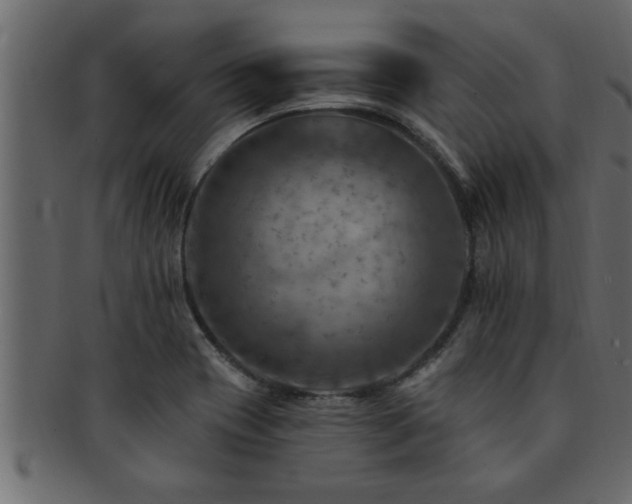 X0000093171417200709261519