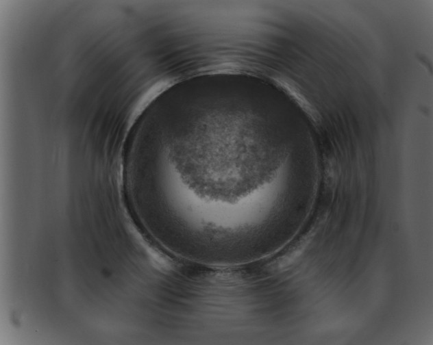 X0000093171418200709261519