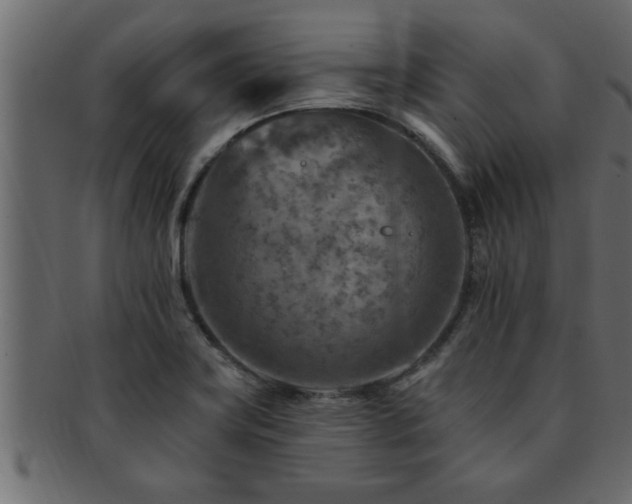 X0000093171419200709261519