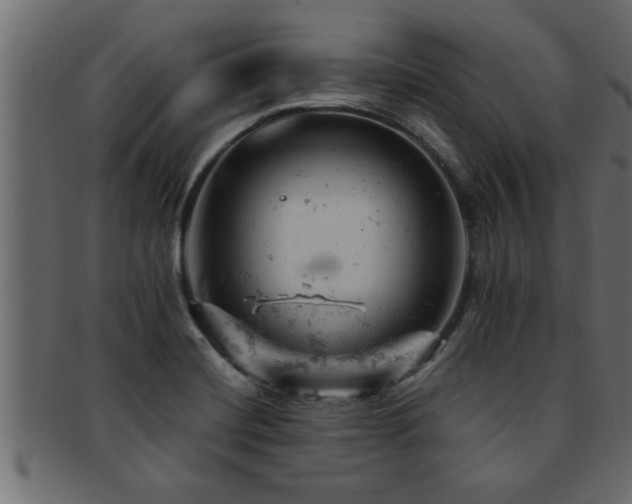 X0000093171420200709261519