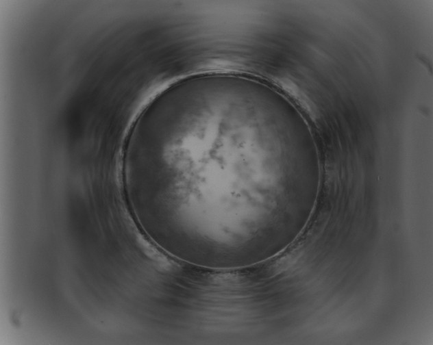 X0000093171421200709261519