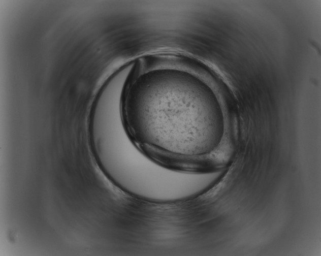 X0000093171422200709261519