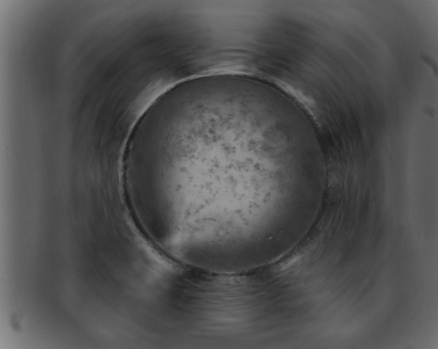 X0000093171423200709261519