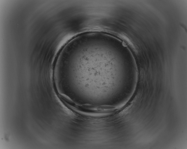 X0000093171424200709261519