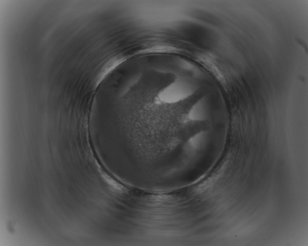 X0000093171425200709261519
