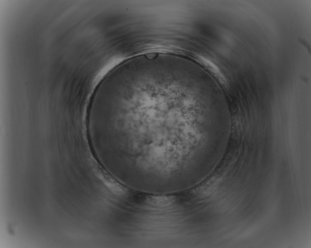 X0000093171427200709261519