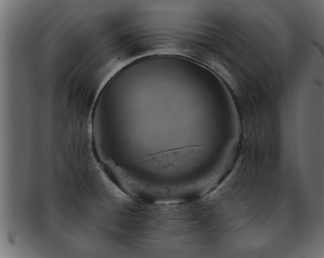X0000093171428200709261519