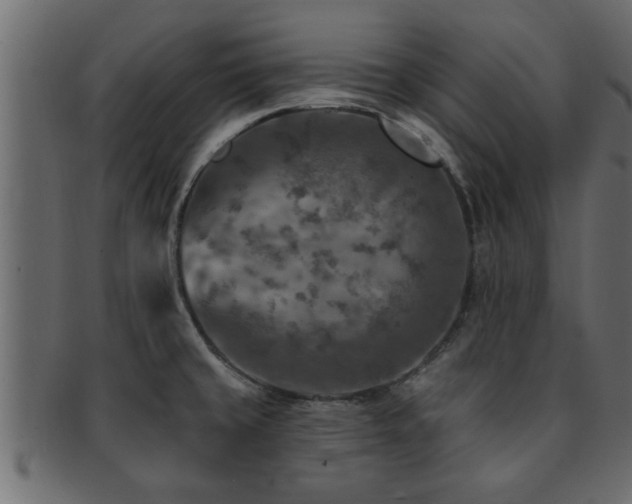 X0000093171429200709261519