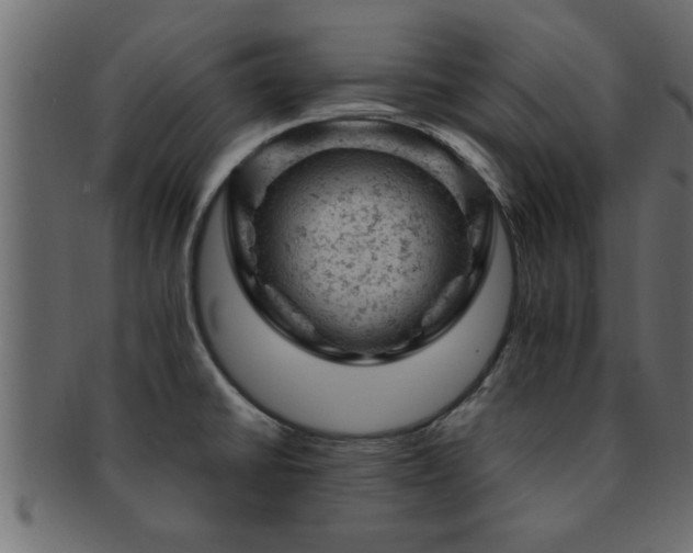 X0000093171430200709261519