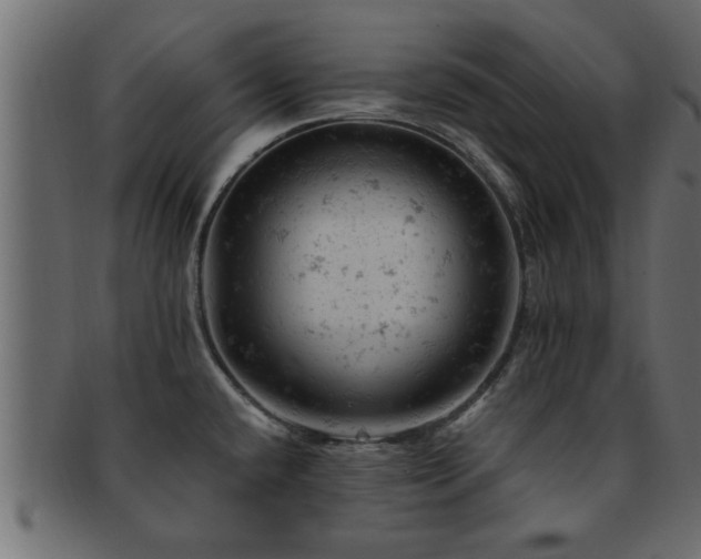 X0000093171432200709261520