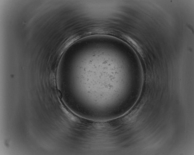 X0000093171433200709261520