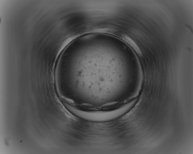 X0000093171436200709261520