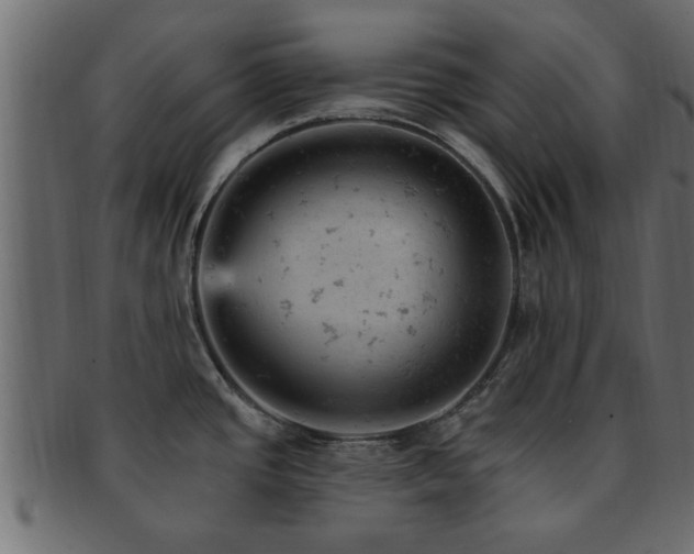X0000093171437200709261520