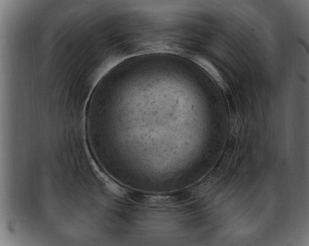 X0000093171439200709261520