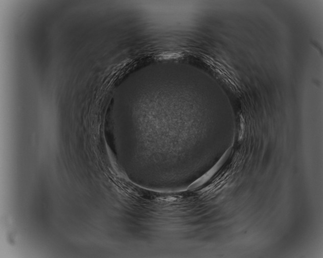 X0000093171441200709261519