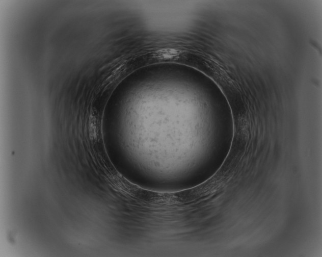 X0000093171442200709261519