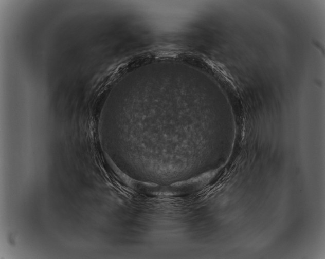 X0000093171445200709261519