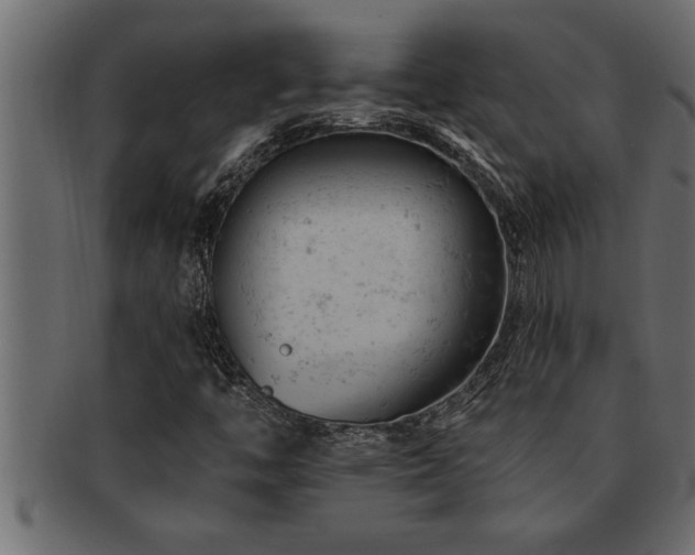 X0000093171446200709261519