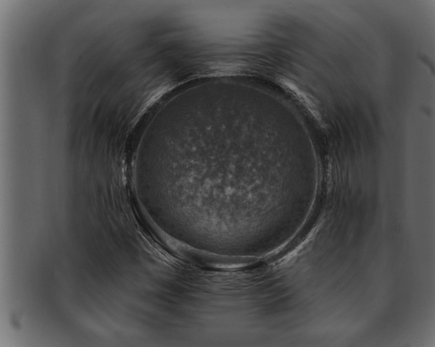 X0000093171449200709261519