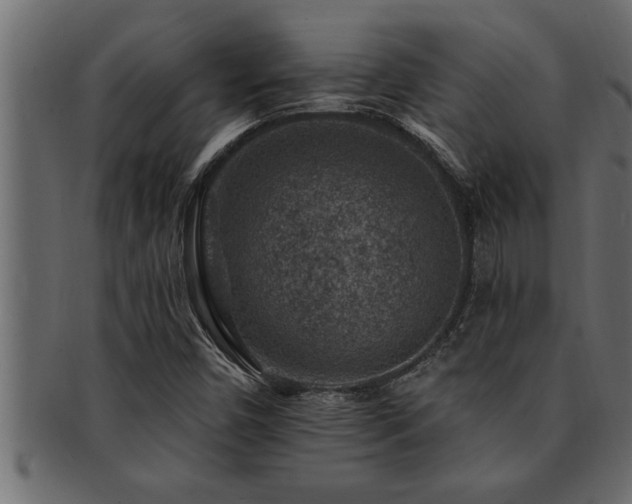 X0000093171450200709261519