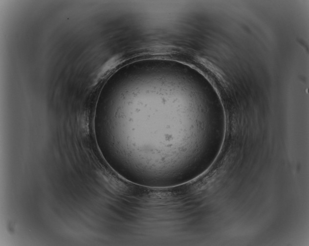 X0000093171451200709261519