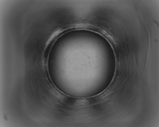 X0000093171454200709261519