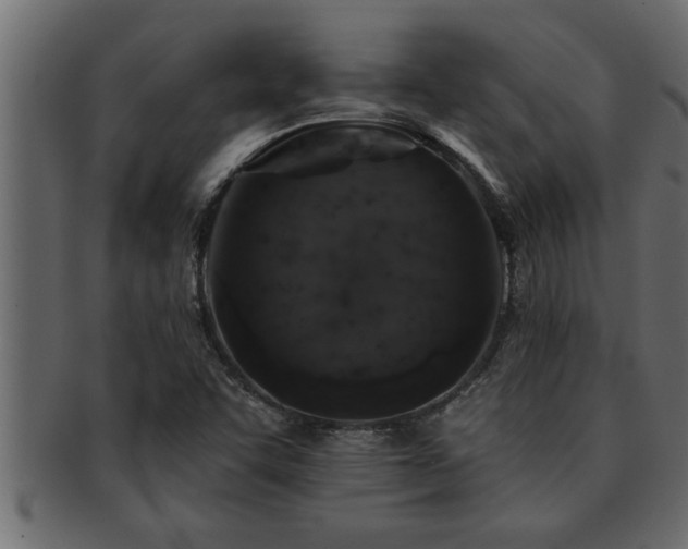 X0000093171455200709261519