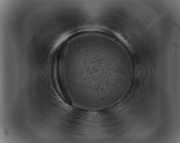 X0000093171456200709261519