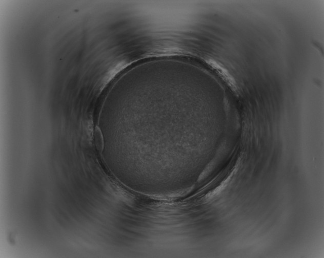 X0000093171457200709261519